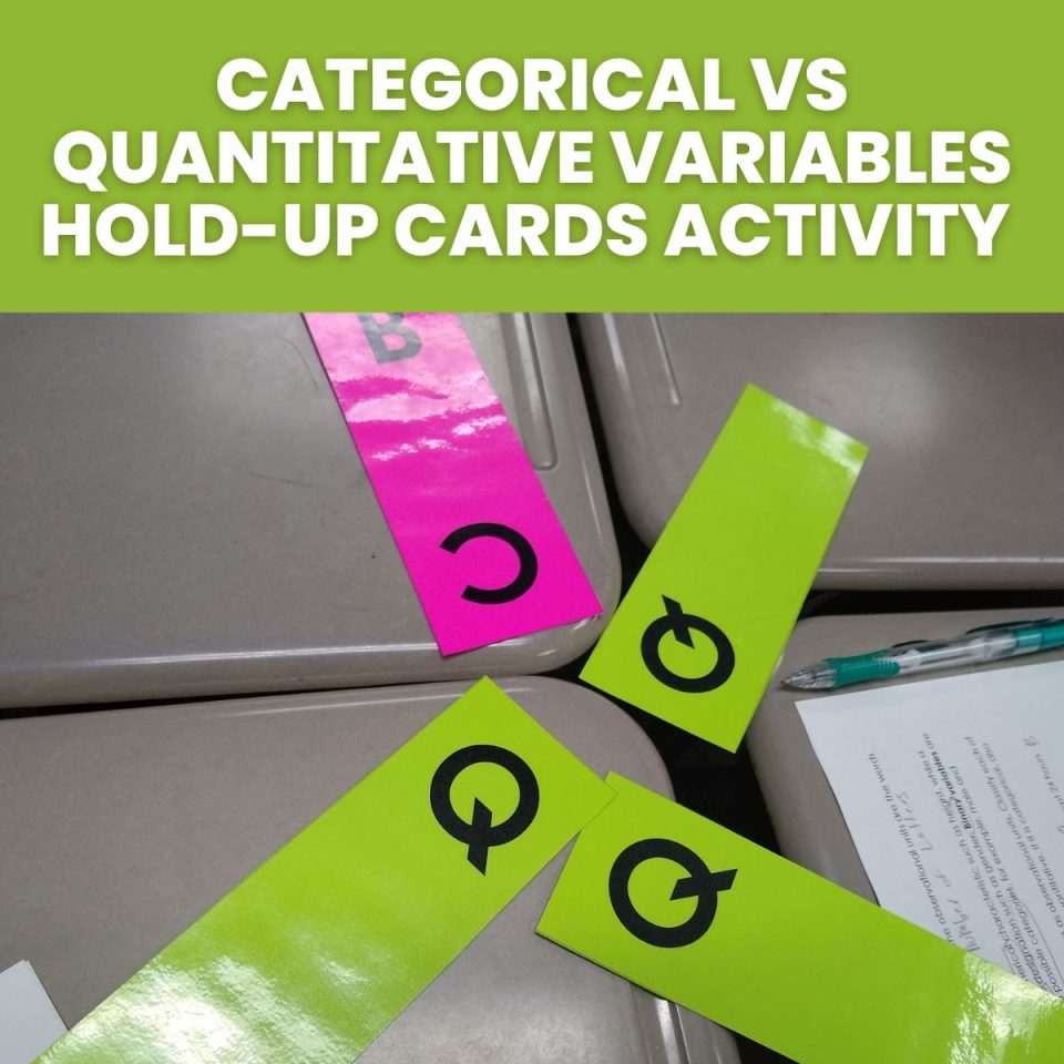 Categorical Vs Quantitative Variables Hold Up Cards Activity Math Love