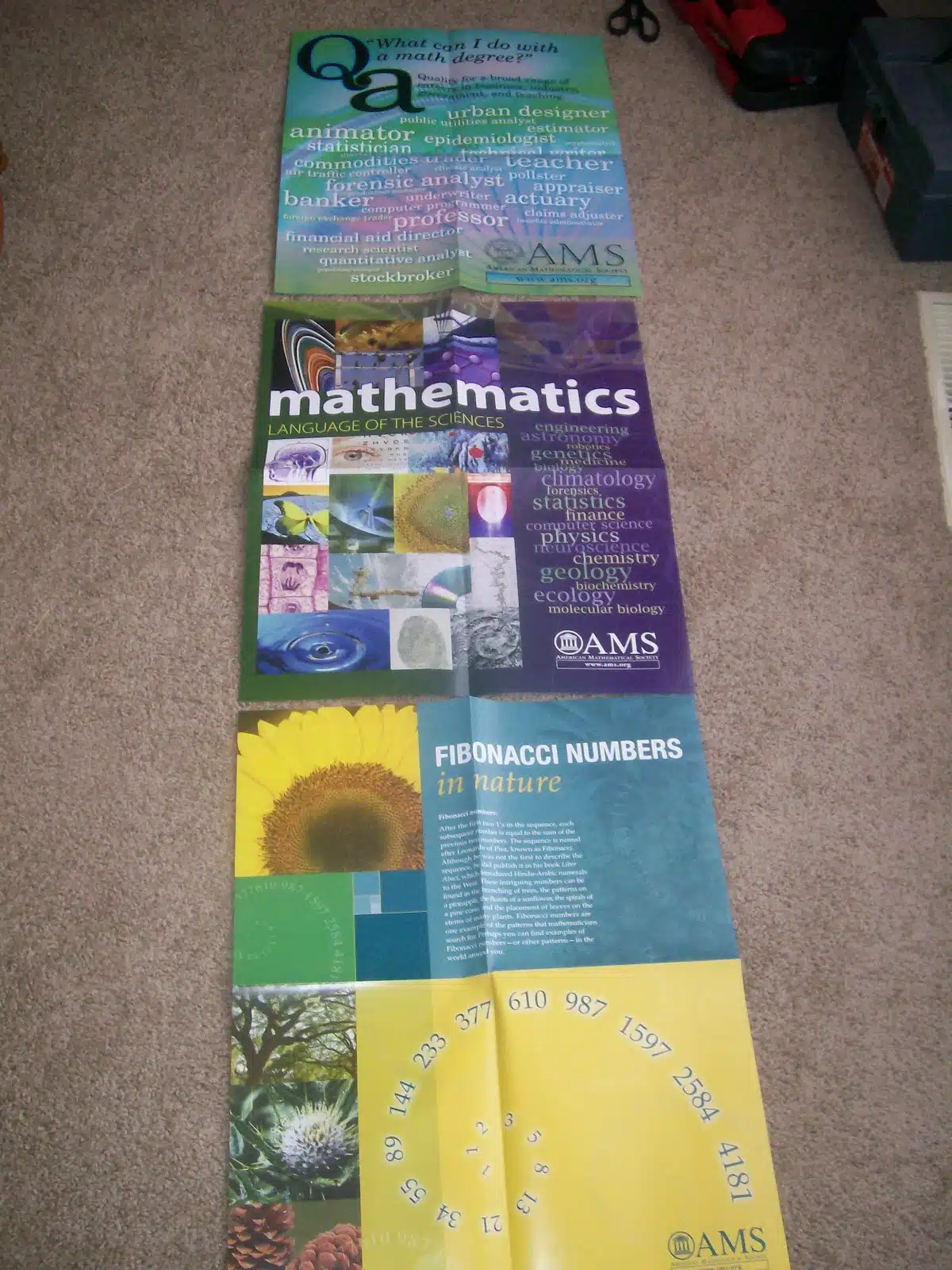 free math posters for your math classroom decorations