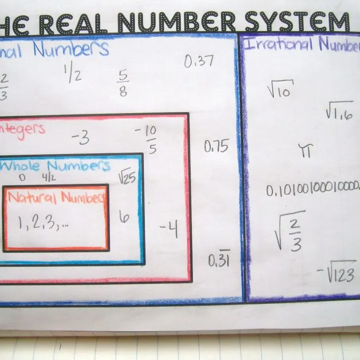 real number system poster