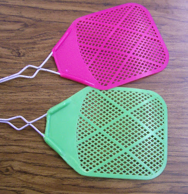 Flyswatter Review Game for Forms of Linear Equations