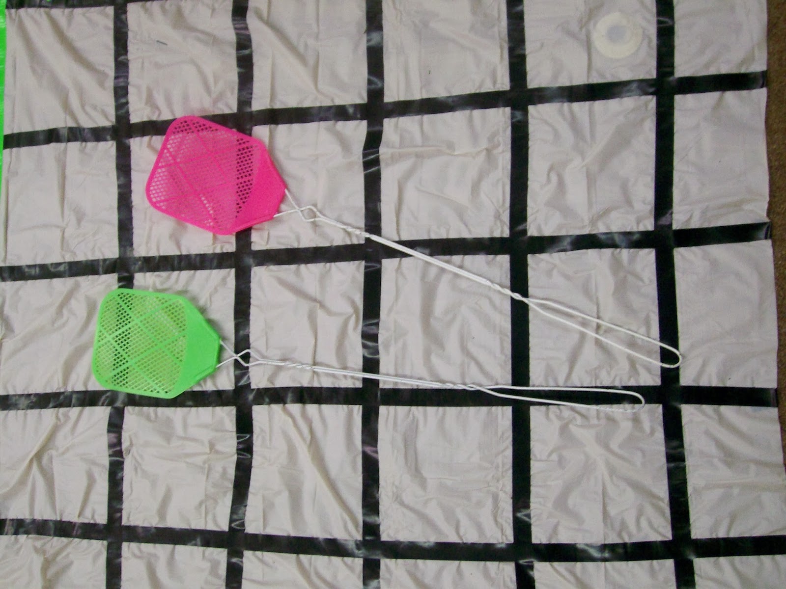 coordinate plane fly swatter game