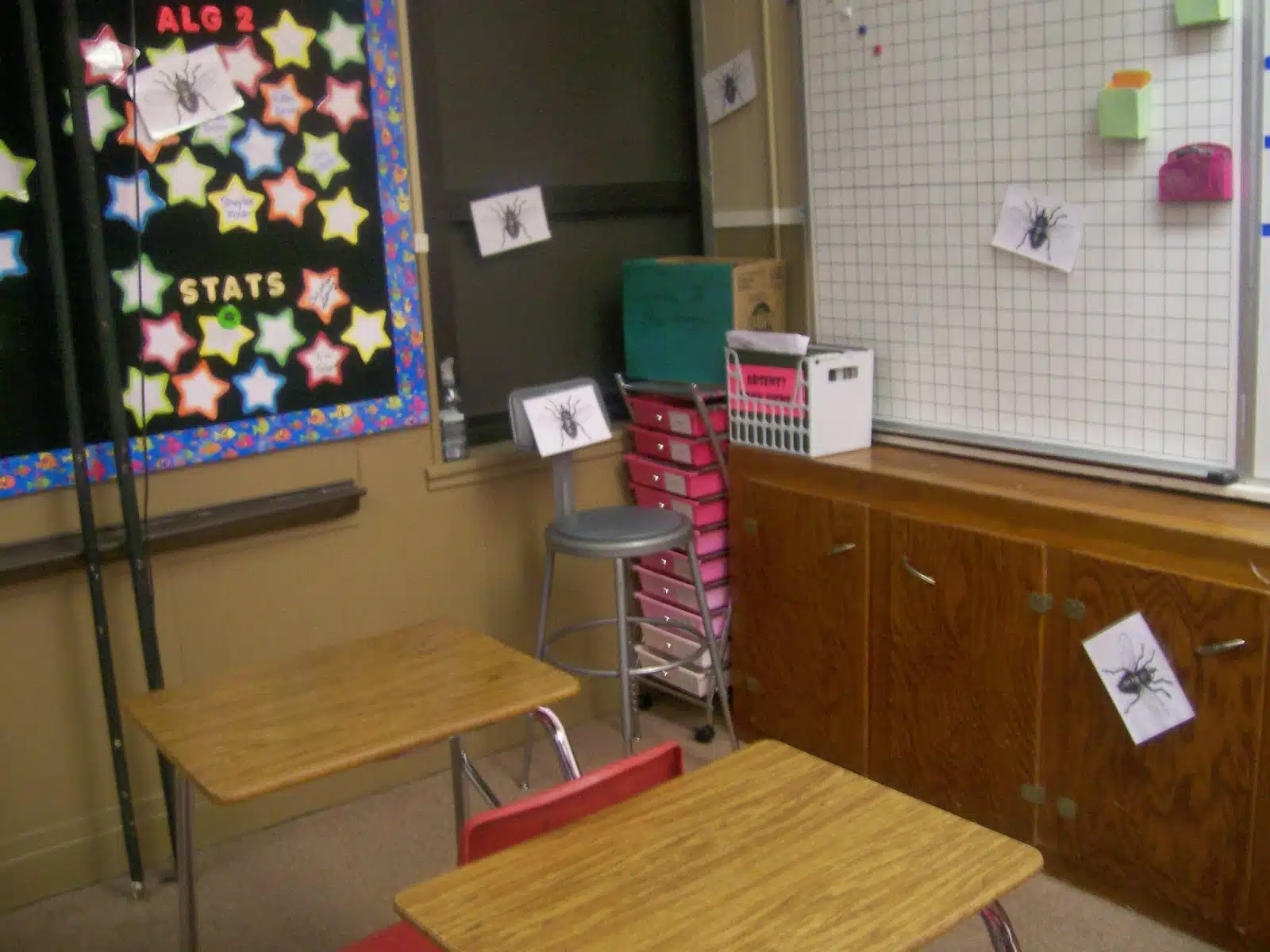 high school math classroom with pictures of flies taped around room. 