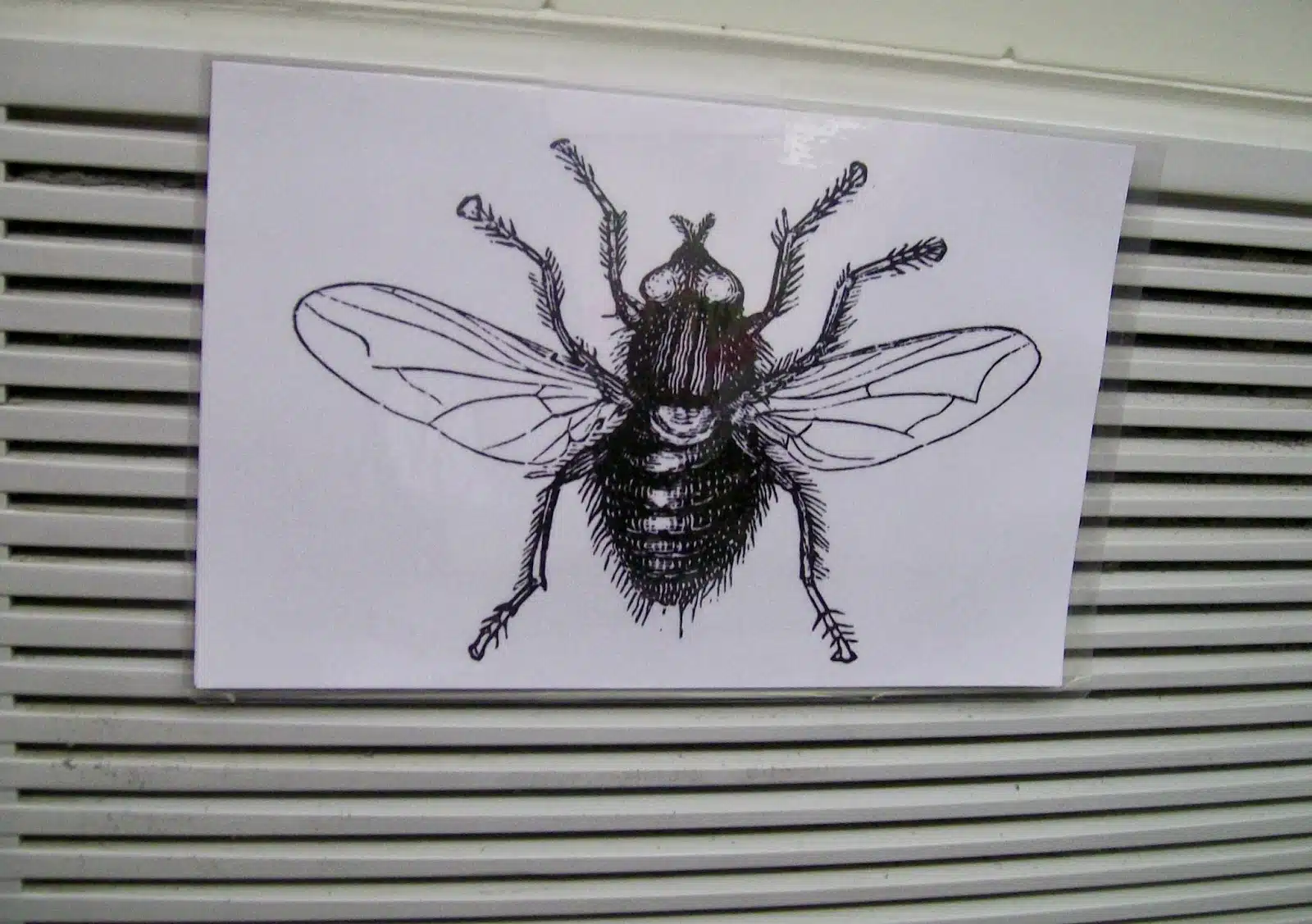 picture of fly on air conditioner. 