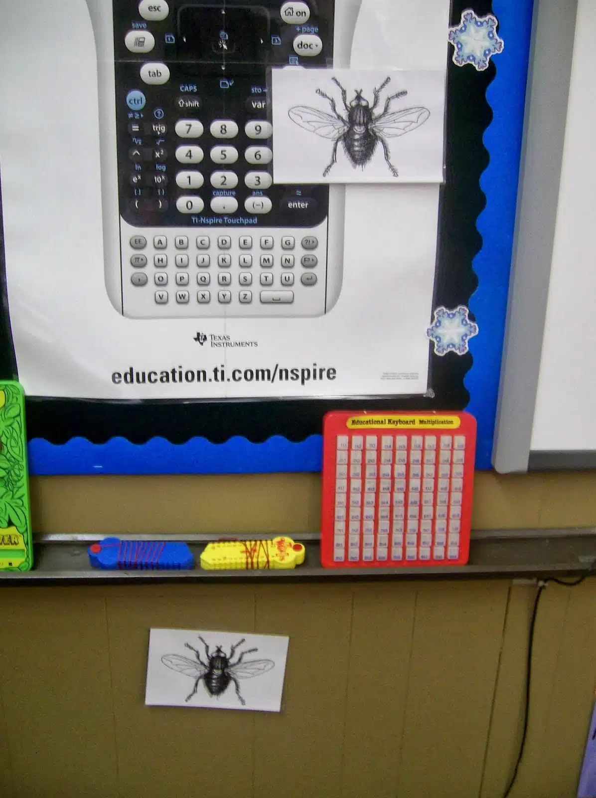 picture of fly hanging on calculator poster. 