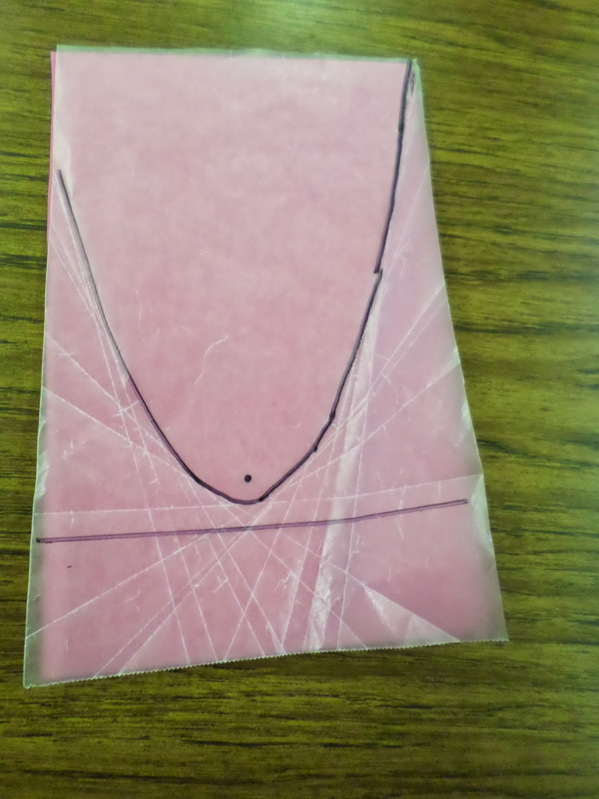 Parabola drawn in on wax paper parabola activity. 