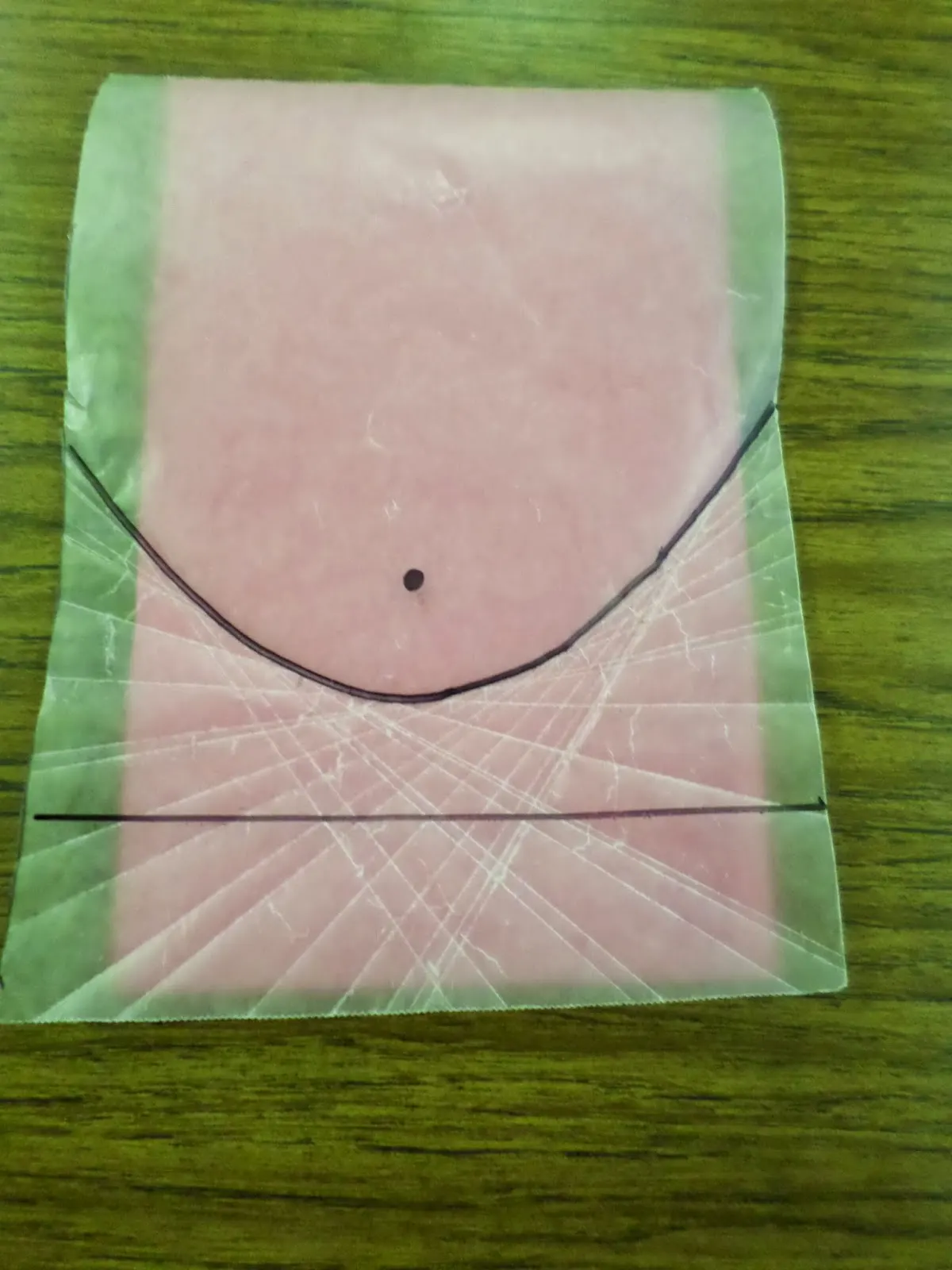 Wax Paper Parabola Example with many creases. 