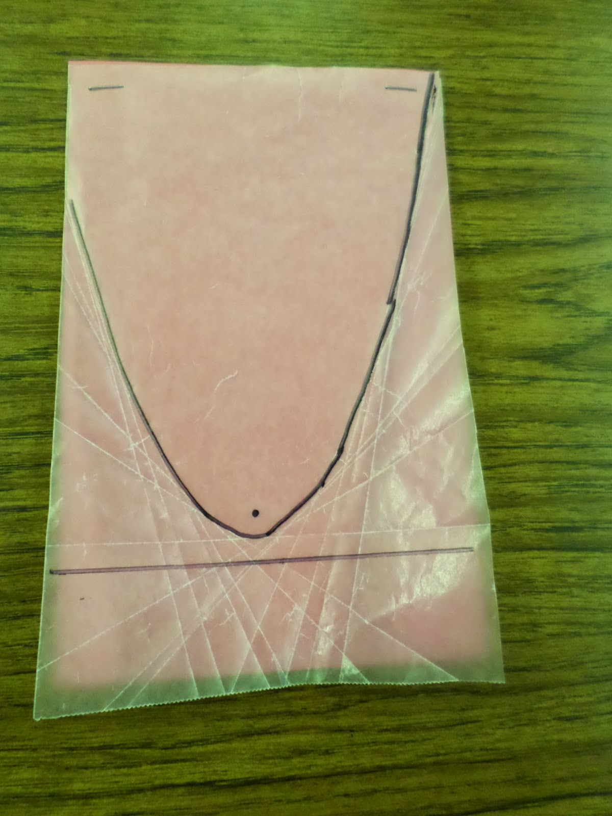 Wax Paper Parabola Activity Stapled to Colored Paper. 