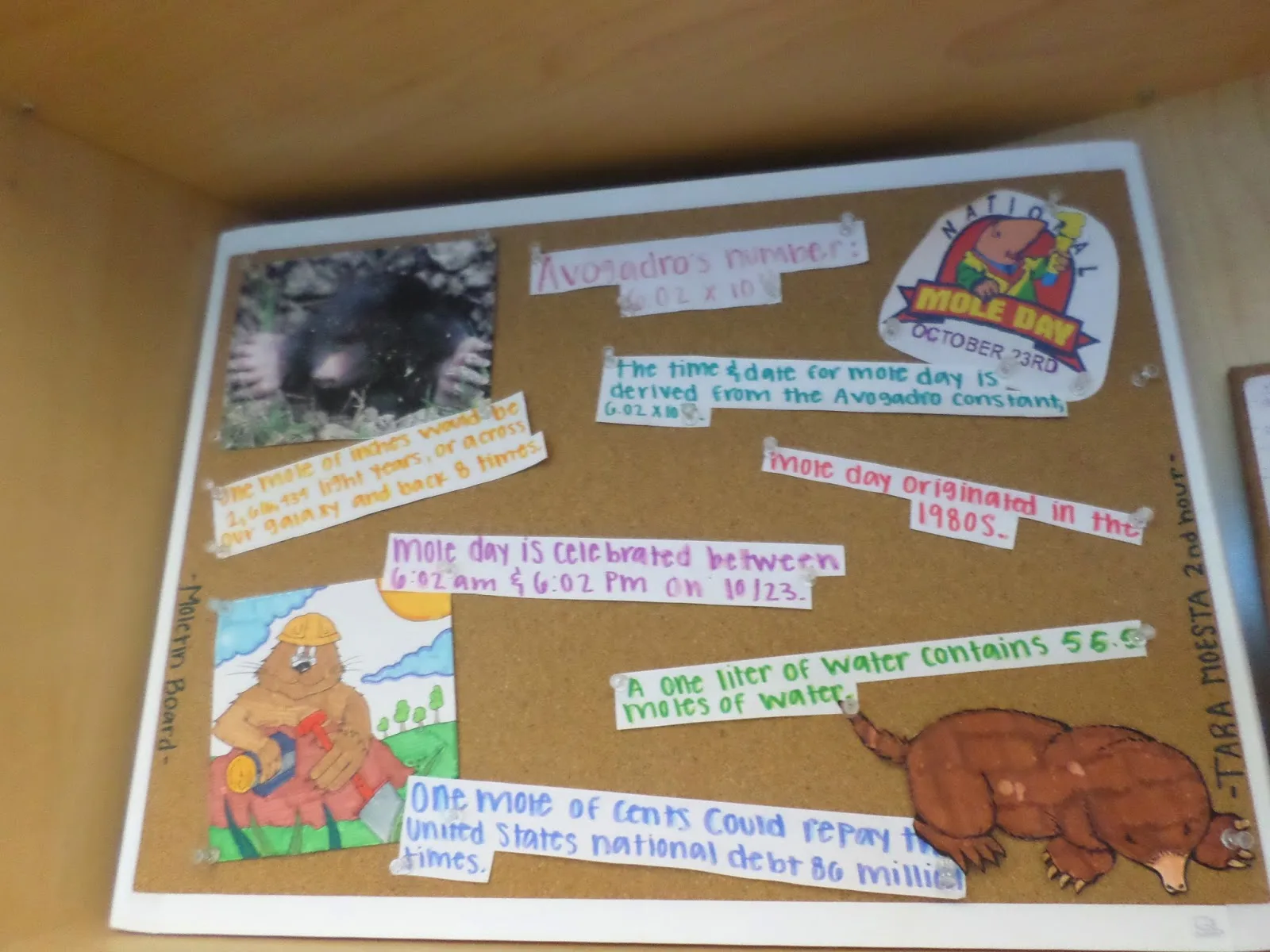 mole day decorations and ideas bulletin boards chemistry science activity