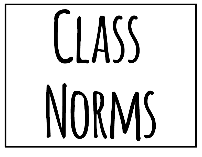 group work norms posters