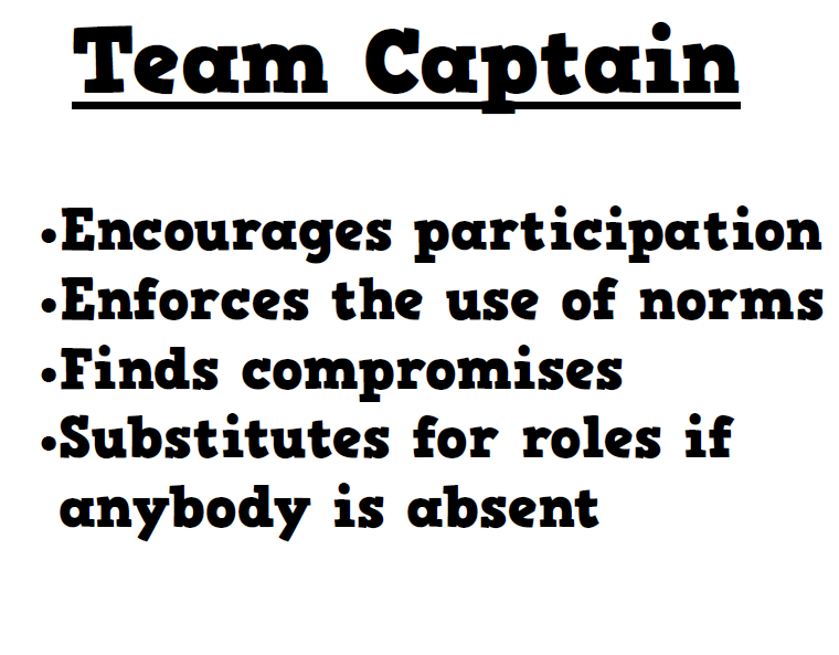 team captain group work roles posters