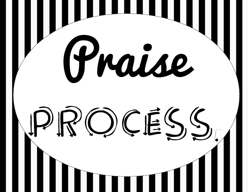 praise process poster growth mindset