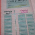 categorical vs quantitative variables card sort.