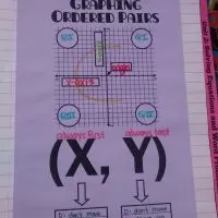 graphing ordered pairs graphic organizer.