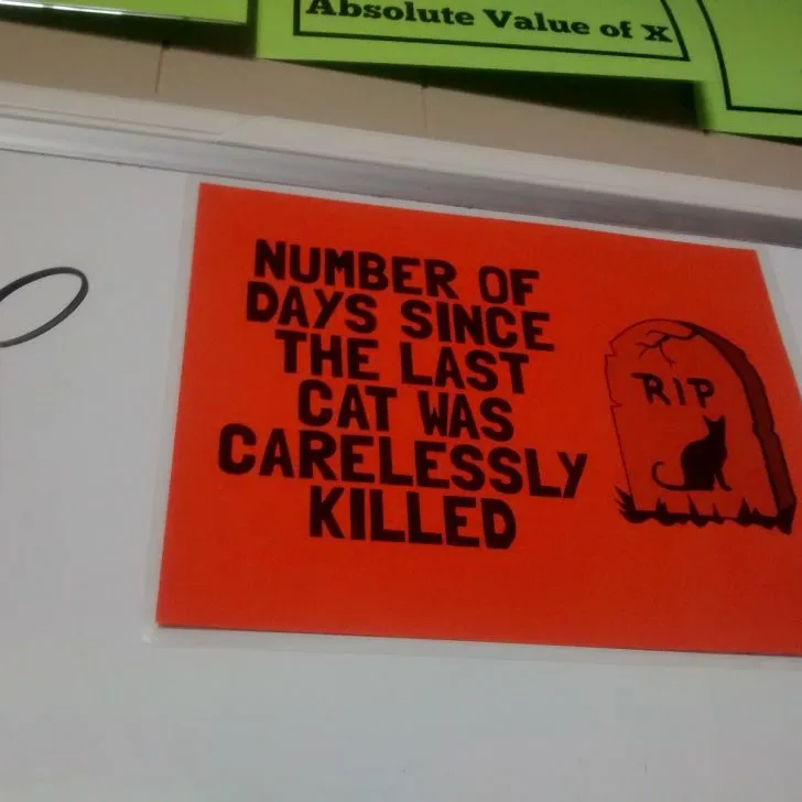 rational expressions poster: number of days since the last cat was carelessly killed.