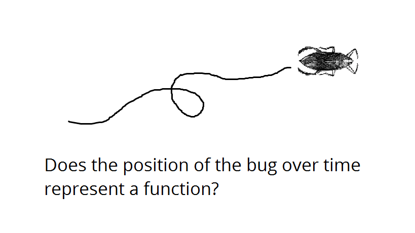 Function Bug Question - Does the position of the bug over time represent a function? 