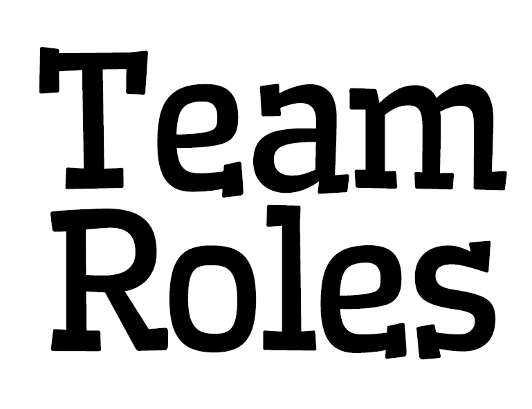 Team Group Work Roles
