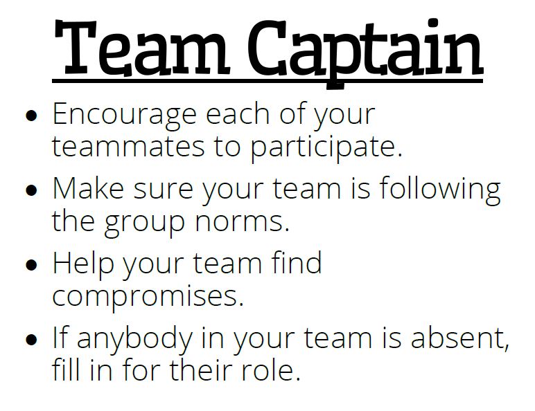Team Group Work Roles