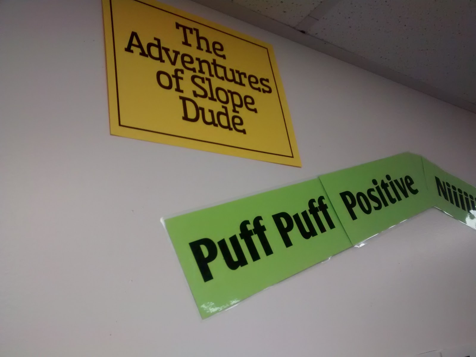 The Adventures of Slope Dude Posters in High School Math Classroom Decorations