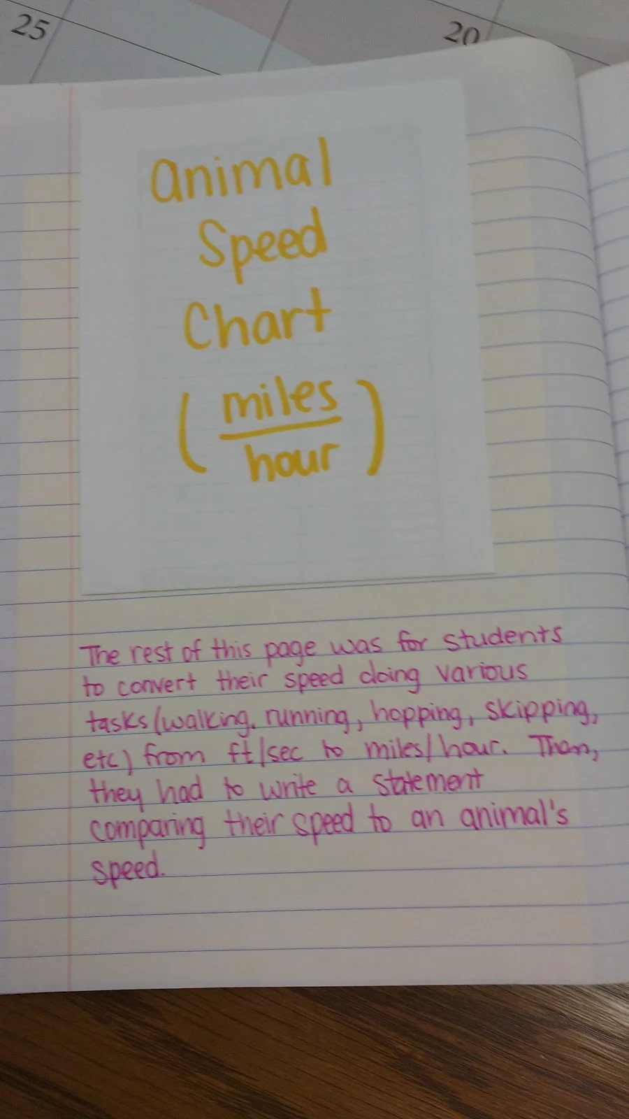 animal speed chart in interactive notebook