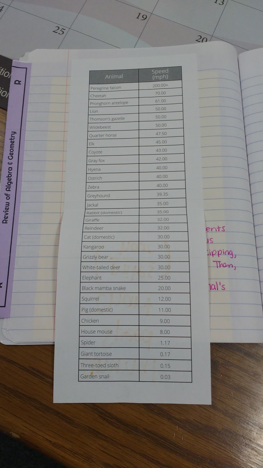 animal speed chart in interactive notebook