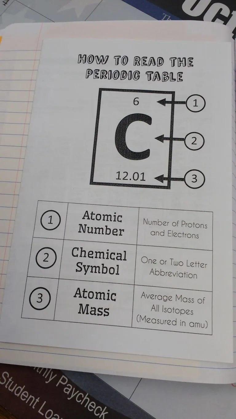 how to read the periodic table chemistry foldable