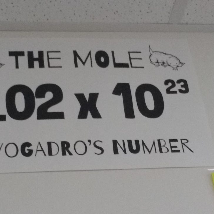 Mole Poster with Avogadro's Number