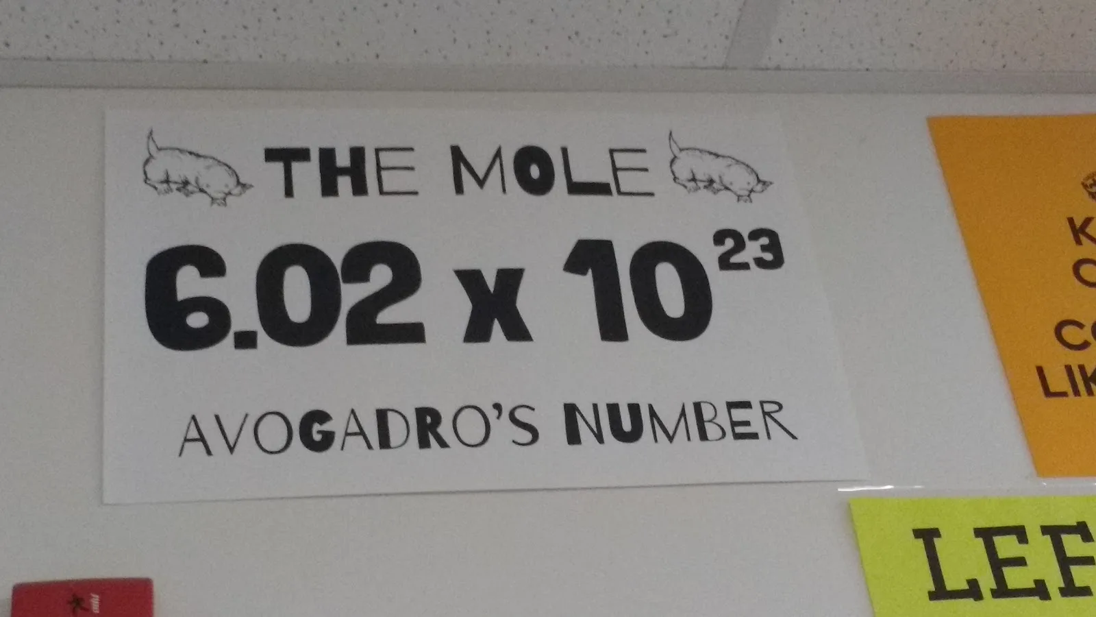 mole poster avogadro's number - decoration for high school physical science or chemistry classroom