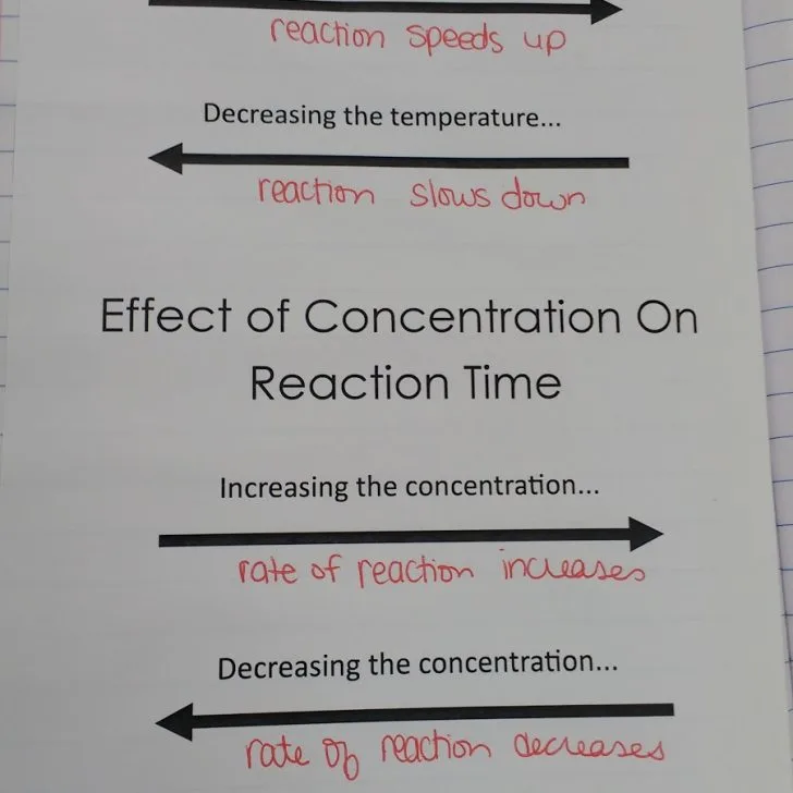 reaction rate notes in interactive notebook.