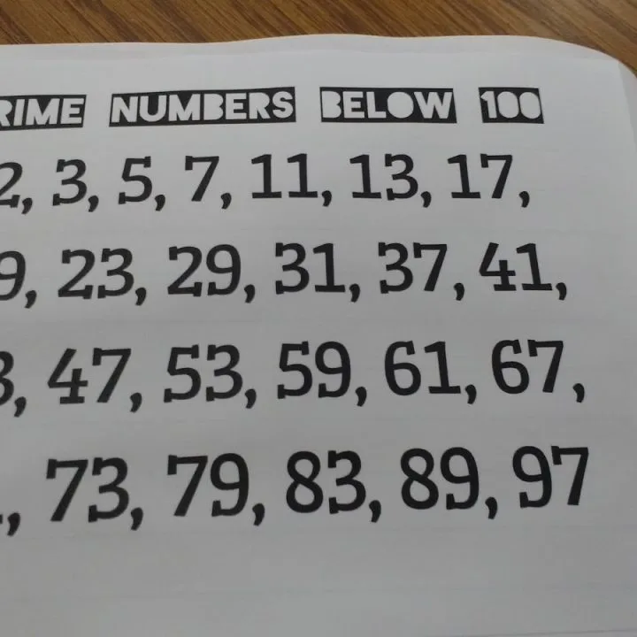 prime numbers below 100 chart.