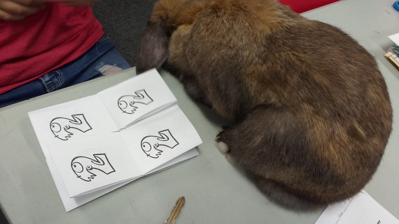 solution to 2 on crazy eight paper folding puzzle next to rabbit on table. 
