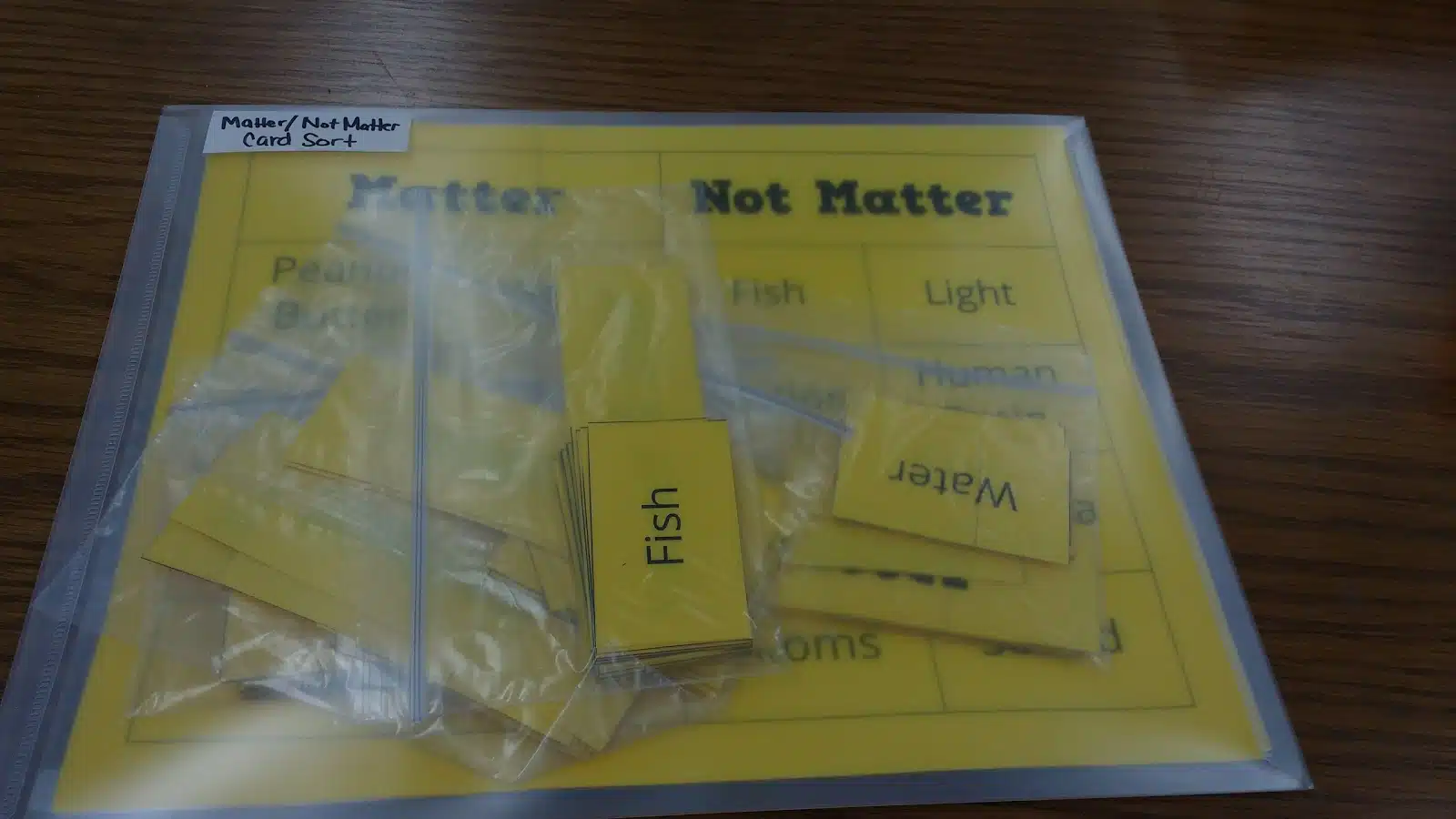 matter vs not matter card sort activity for chemistry or physical science classes