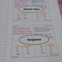 absolute value and reciprocal frayer models in interactive notebook.