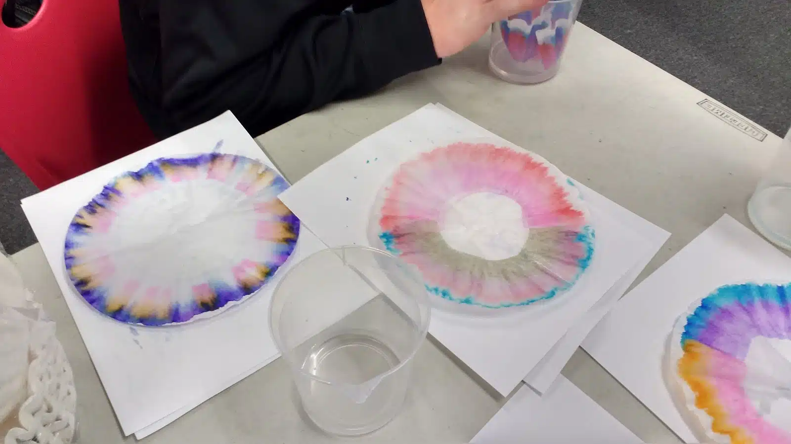 coffee filters drying after chromatography lab. 