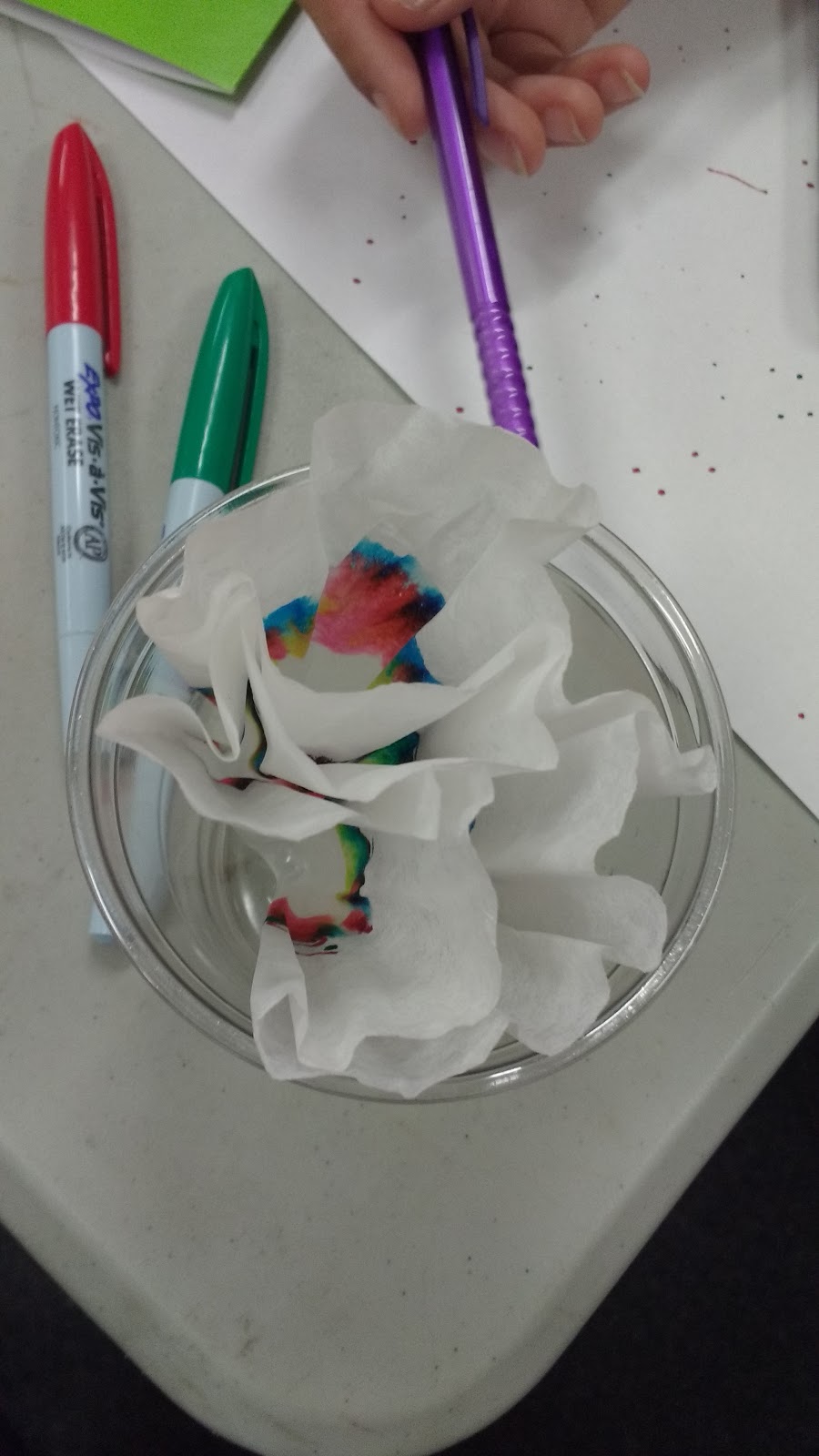 Chromatography Butterflies - Chromaflies Bulletin Board - Coffee Filter Chromatography Lab for Physical Science or Chemistry