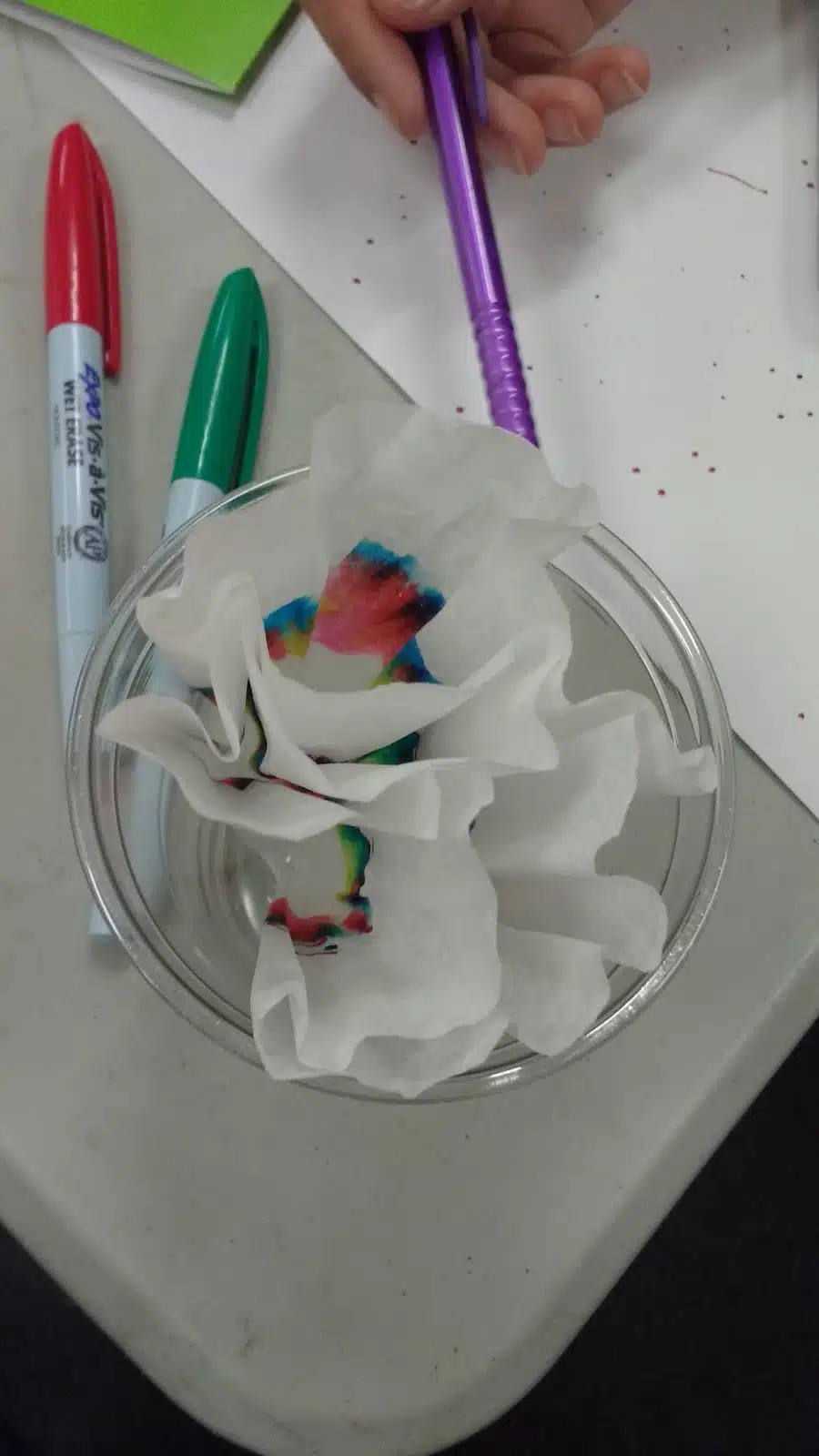 chromatography with coffee filters lab. 