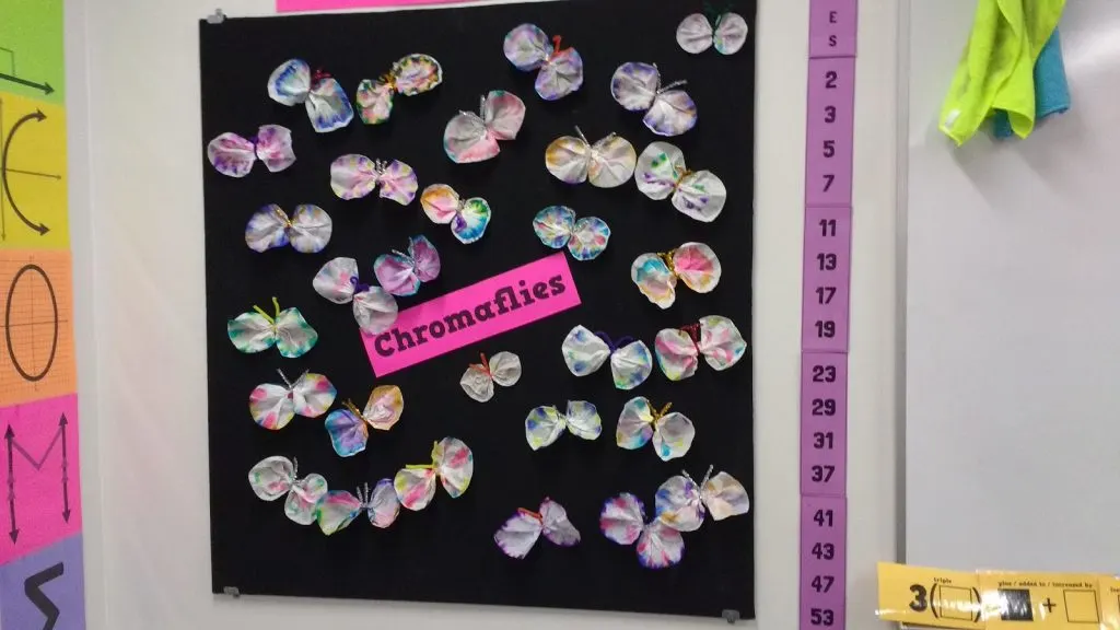 chromatography butterfly bulletin board in classroom. 