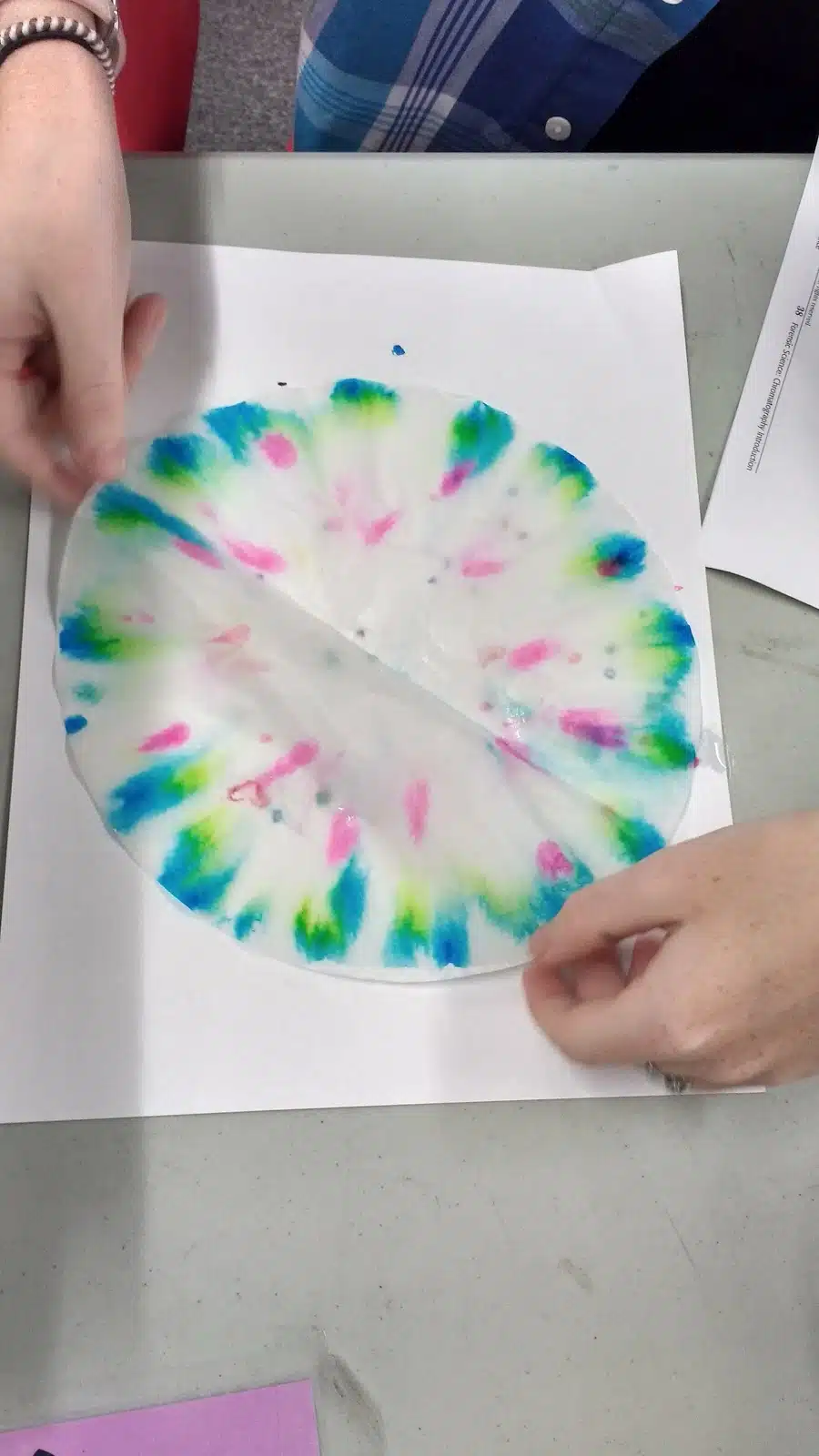 coffee filters drying after chromatography lab. 