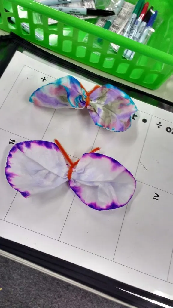completed chromatography butterflies. 