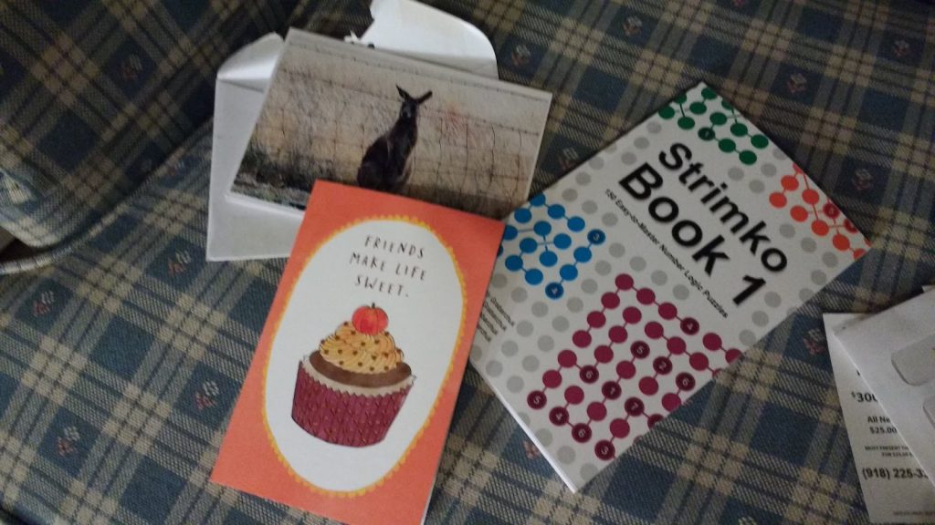 Strimko Puzzle Book Lying on Couch next to greeting cards