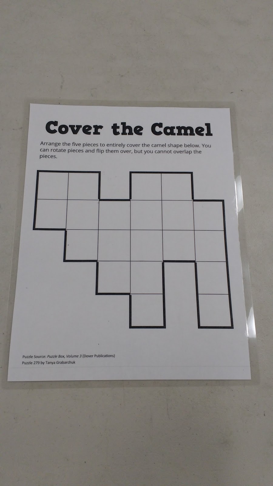 Cover the Camel Puzzle