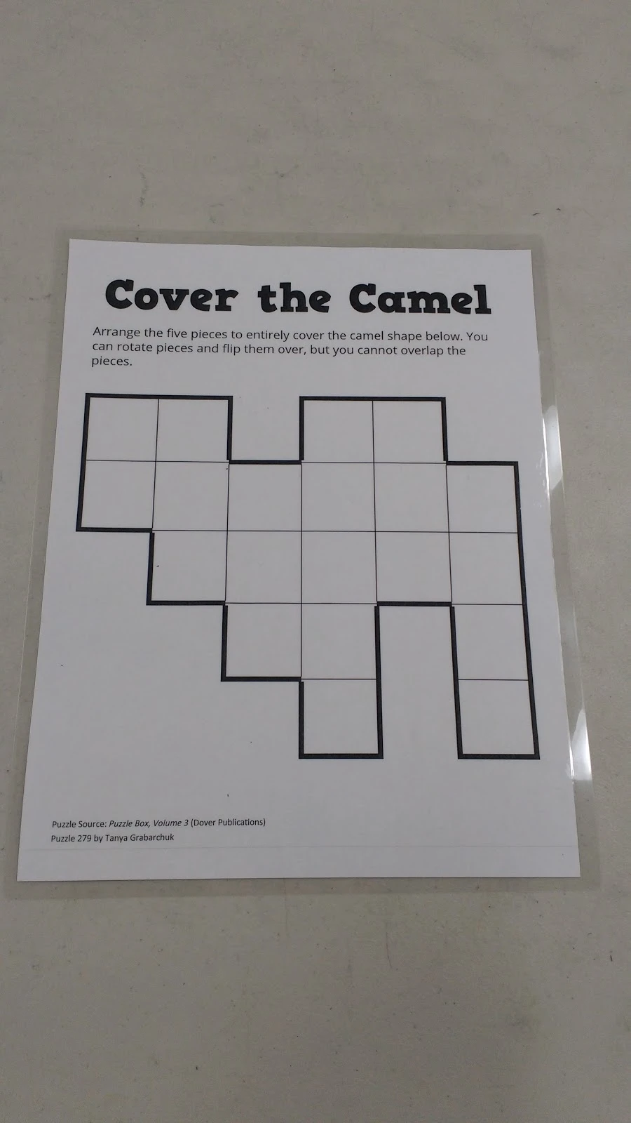 Cover the Camel Puzzle