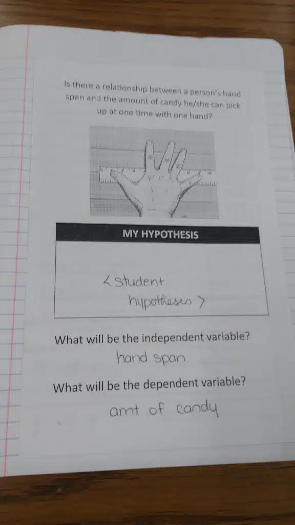 outside of starburst scatterplot activity foldable. 