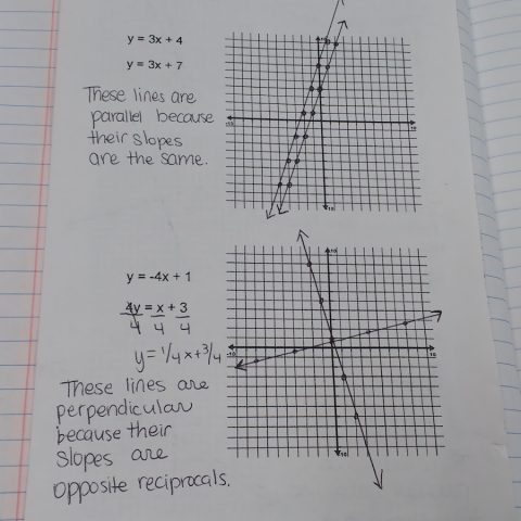 Parallel and Perpendicular Lines Foldable | Math = Love