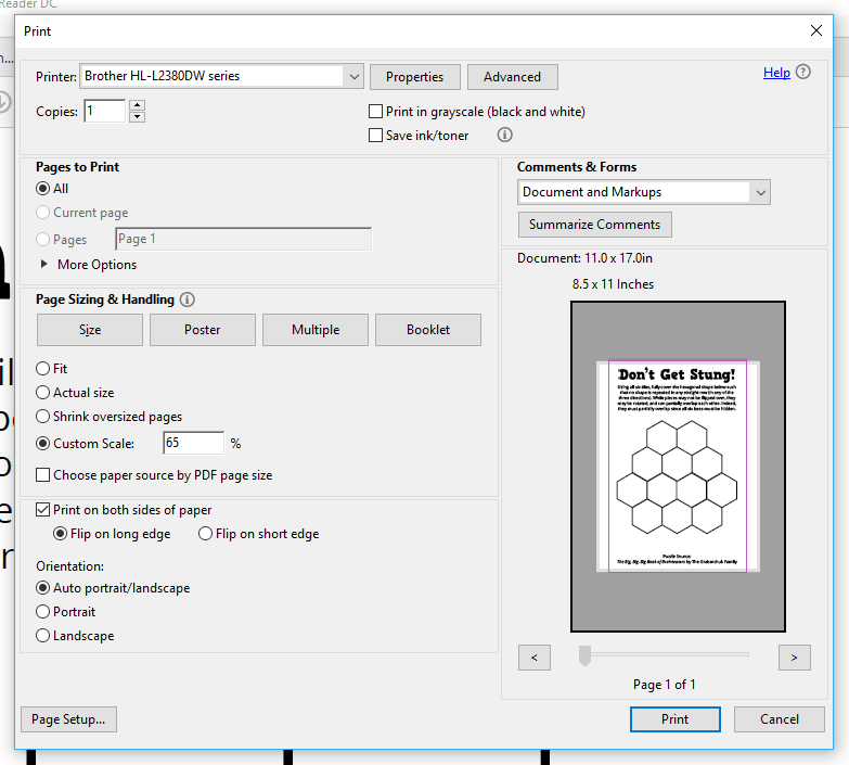 Printing Instructions for Don't Get Stung Puzzle