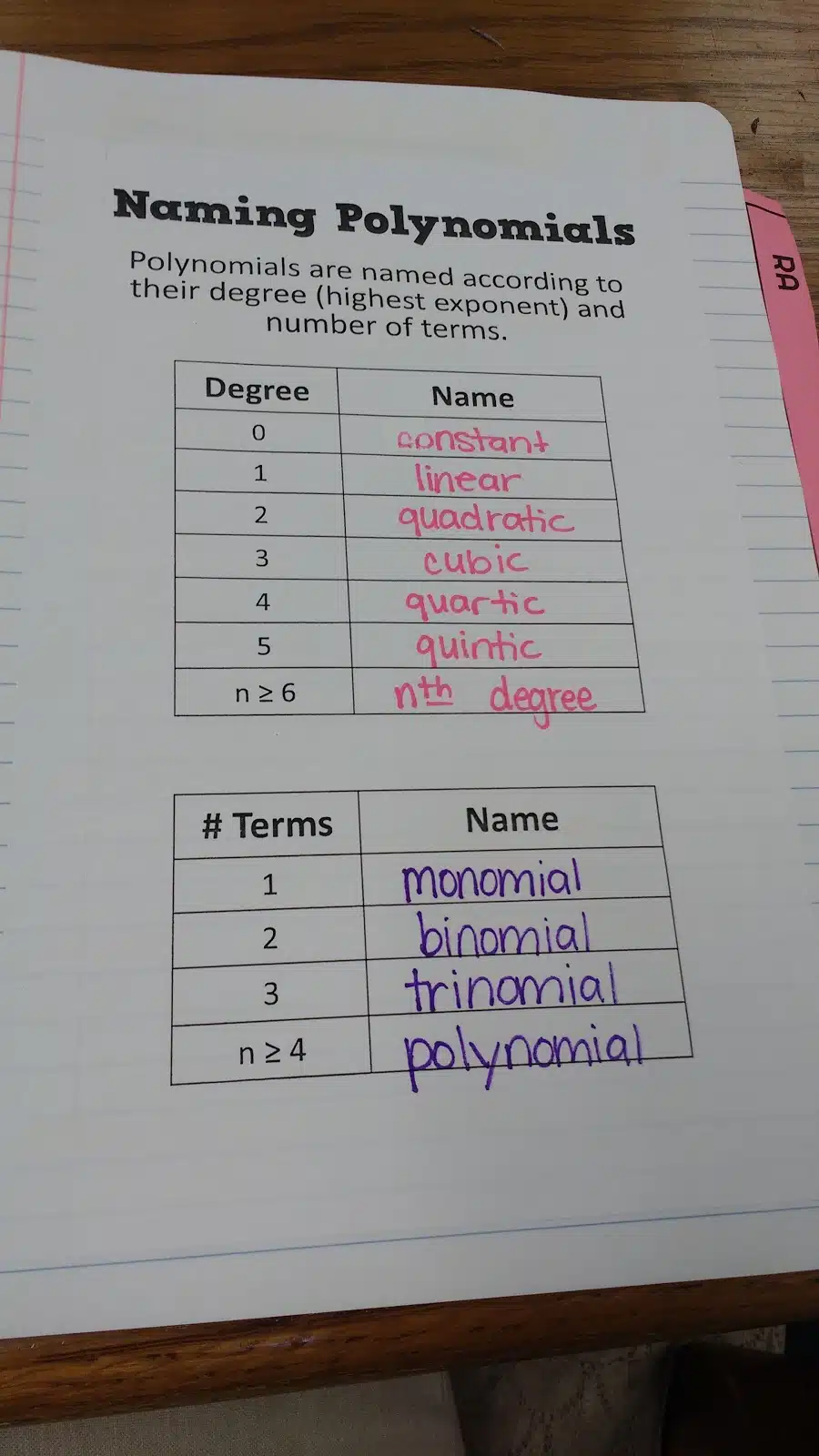 naming polynomials graphic organizer in interactive notebook. 