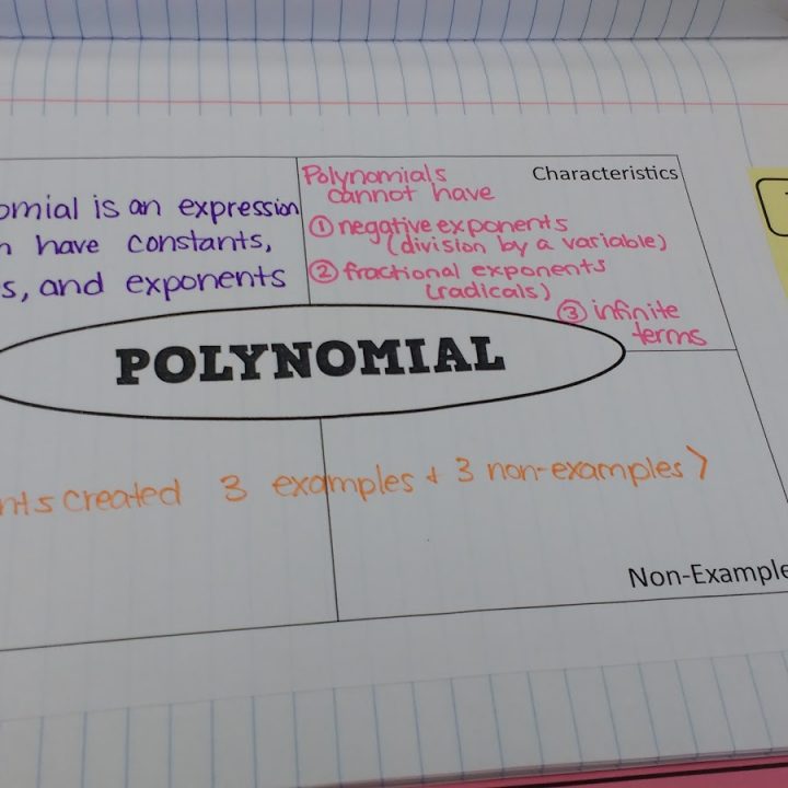 Polynomial Frayer Model Template