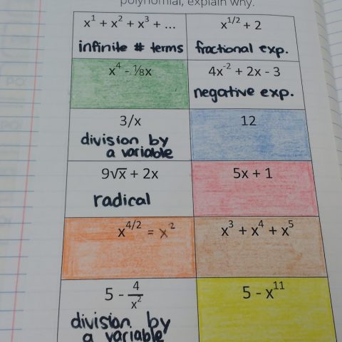 Naming Polynomials Graphic Organizer | Math = Love