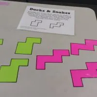 ducks and snakes puzzle.