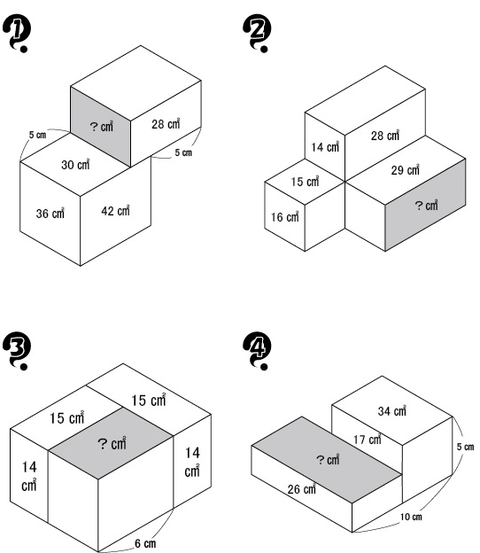 Area Maze Puzzle from New York Times