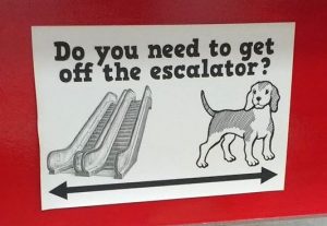 Do You Need to Get Off the Escalator Poster.